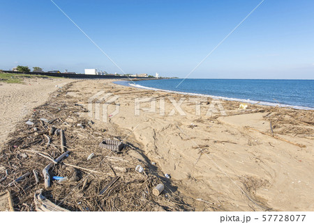 【自然災害】台風後、浜辺に打ち上げられた流木　流木拾い 57728077