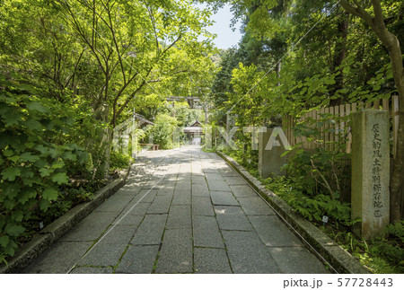 京都大豊神社　狛ねずみの名所　京都人気スポット　子年　　 57728443