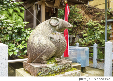 京都大豊神社 狛ねずみの名所 京都人気スポット 子年 年賀 の写真素材