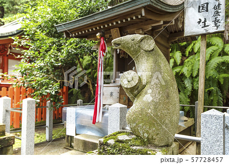 京都大豊神社 狛ねずみの名所 京都人気スポット 子年 2020年賀 京都大豊神社 狛ねずみの名所 京都人気スポット 子年 2020年賀 57728457