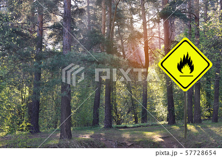 Warning sign for fire danger in the forest. Danger 57728654