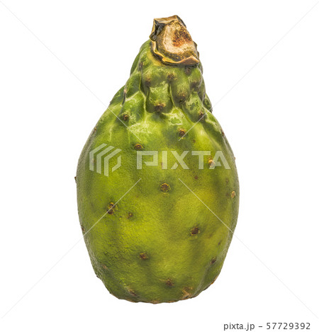 Cactus pear close-up 3d rendering 57729392