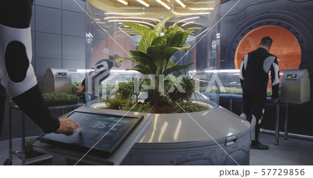 Scientist controlling plant incubator Scientist controlling plant incubator 57729856