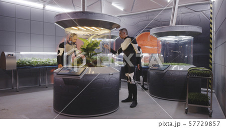 Astrobiologists working with plant incubators 57729857