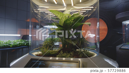 Plant incubators on a Mars base 57729886