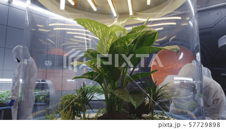 Biologists working in a lab on a Mars base 57729898