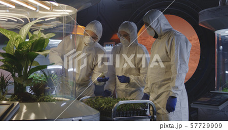 Scientists examining seedlings in a lab 57729909