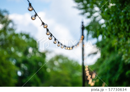 Background with blur street lights and garlands in park 57730634