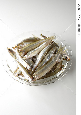 ワカサギ沢山 57731672