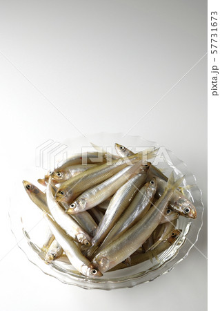 ワカサギ沢山 57731673