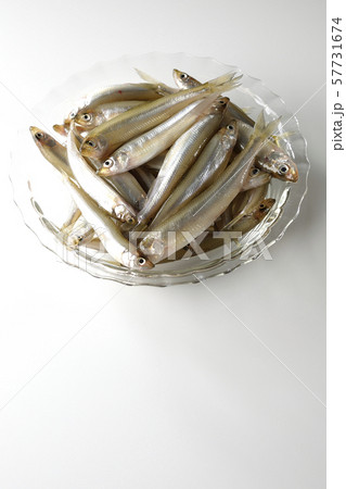 ワカサギ沢山 57731674