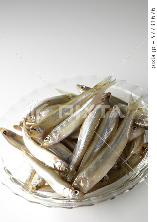 ワカサギ沢山 57731676