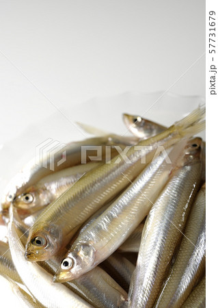 ワカサギ沢山 57731679