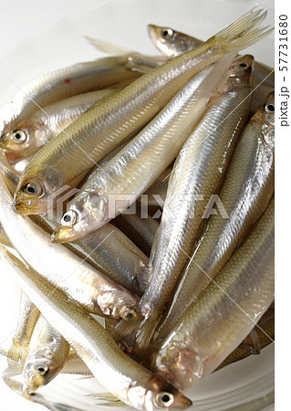 ワカサギ沢山 57731680