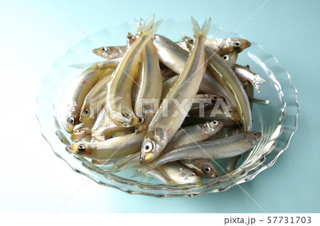 ワカサギ沢山 57731703