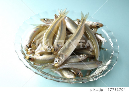 ワカサギ沢山 57731704