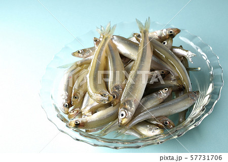 ワカサギ沢山 57731706