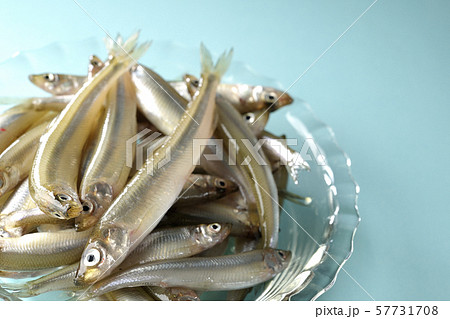 ワカサギ沢山 57731708