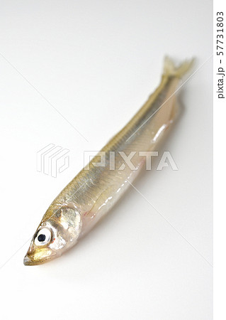 わかさぎ 57731803