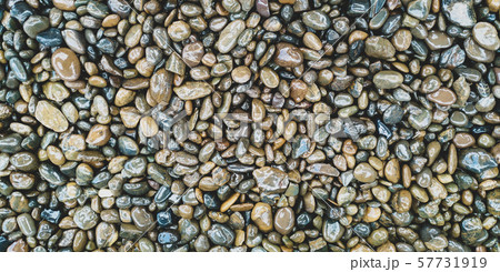 The wet rocks and stone texture pattern 57731919