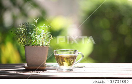 Hot tea cup 57732399