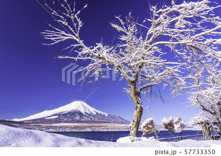(山梨県)雪化粧した山中湖畔から望む富士山 (山梨県)雪化粧した山中湖畔から望む富士山 57733350