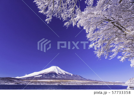 （山梨県）雪化粧した山中湖畔から望む富士山 57733358