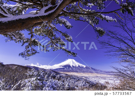 (山梨県)雪化粧した二十曲峠から望む富士山 (山梨県)雪化粧した二十曲峠から望む富士山 57733567