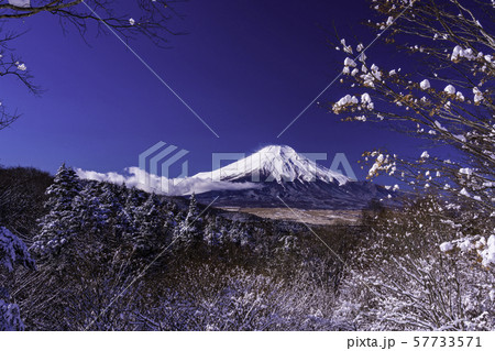 (山梨県)雪化粧した二十曲峠から望む富士山 (山梨県)雪化粧した二十曲峠から望む富士山 57733571