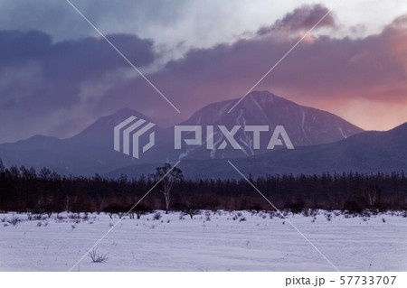 厳冬の奥日光・小田代ヶ原と貴婦人のシラカバ 57733707