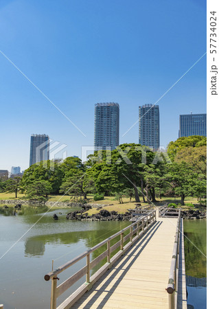 【浜離宮恩賜公園　海手お伝い橋】 57734024