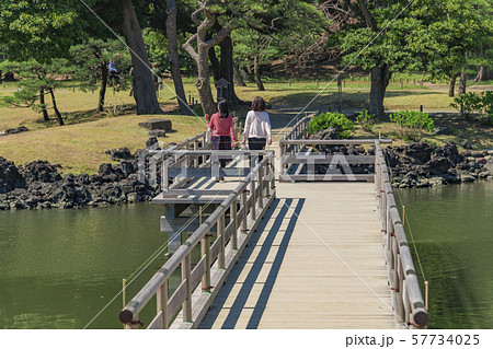 【浜離宮恩賜公園　海手お伝い橋】 57734025
