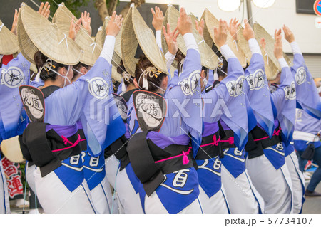 東京都　高円寺阿波おどり 57734107