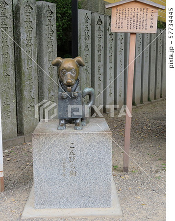金刀比羅宮こんぴら狗（香川県） 57734445