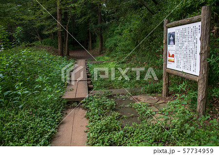 岩槻城址公園 堀障子　空堀　さいたま市 57734959