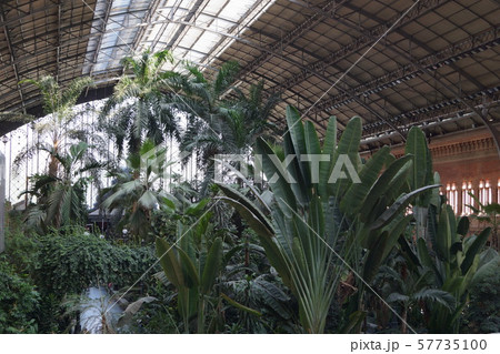 マドリッド 植物園のようなアトーチャ駅 57735100