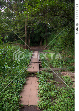岩槻城址公園 堀障子　空堀　さいたま市 57735251