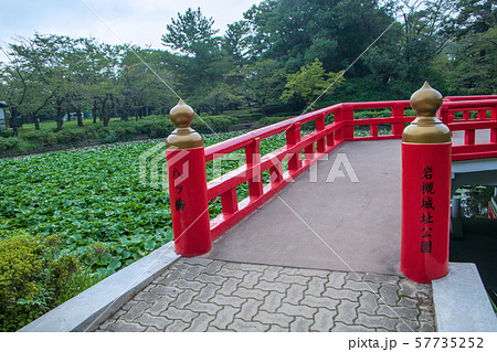 岩槻城址公園　水辺　八ッ橋　さいたま市 57735252