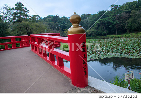 岩槻城址公園　水辺　八ッ橋　さいたま市 57735253
