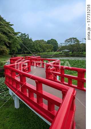 岩槻城址公園　水辺　八ッ橋　さいたま市 57735256