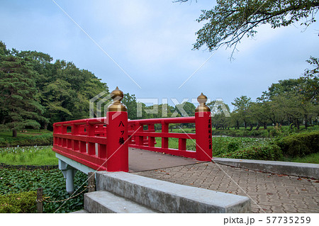 岩槻城址公園 水辺 八ッ橋 さいたま市 岩槻城址公園 水辺 八ッ橋 さいたま市 57735259