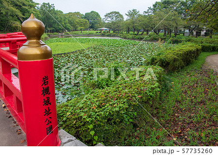 岩槻城址公園　水辺　八ッ橋　さいたま市 57735260