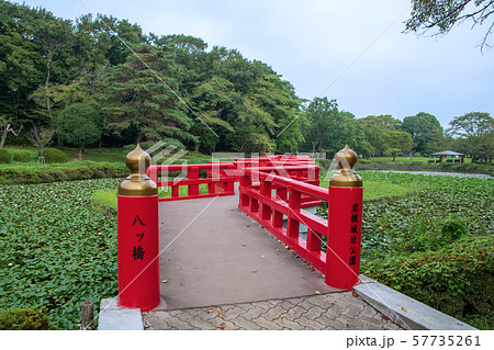 岩槻城址公園　水辺　八ッ橋　さいたま市 57735261