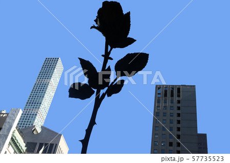 ニューヨーク近代美術館 -MoMA- ニューヨーク近代美術館 -MoMA- 57735523