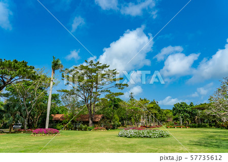 沖縄　宮古島　宮古島市熱帯植物園 57735612