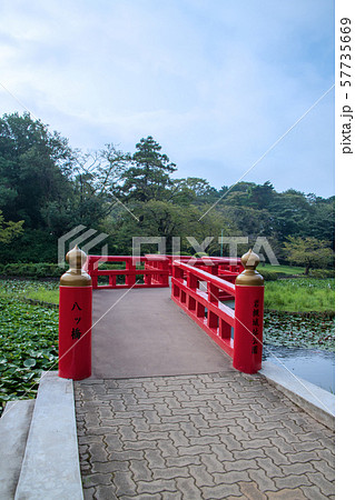 岩槻城址公園　水辺　八ッ橋　さいたま市 57735669