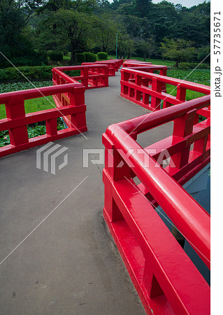 岩槻城址公園　水辺　八ッ橋　さいたま市 57735671