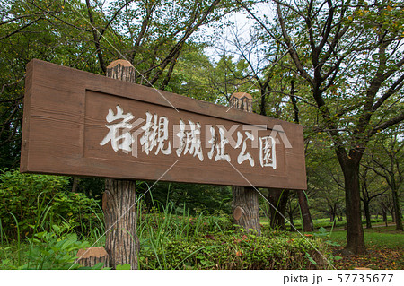 岩槻城址公園　さいたま市 57735677