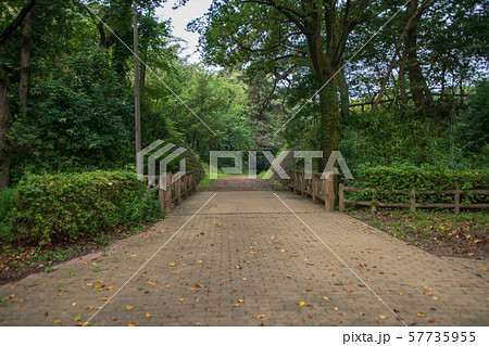 岩槻城址公園　道灌橋　さいたま市 57735955