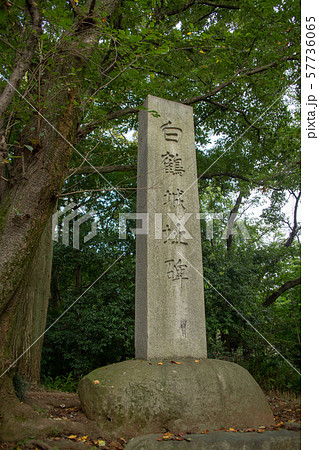 岩槻城址公園 白鶴城址碑 さいたま市 岩槻城址公園 白鶴城址碑 さいたま市 57736065